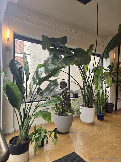 asian couple onlyfans art porn pics