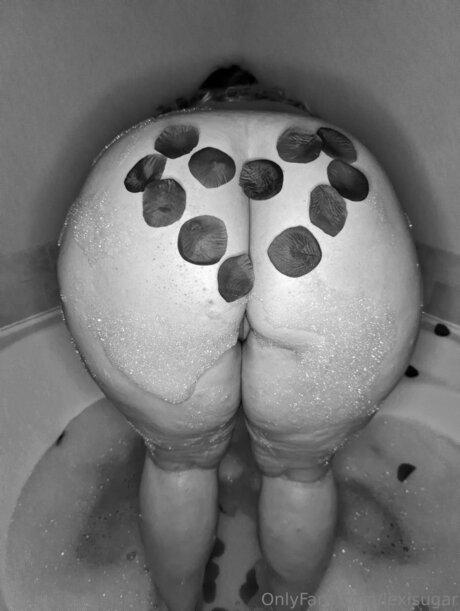 Lexisugar adult star pics