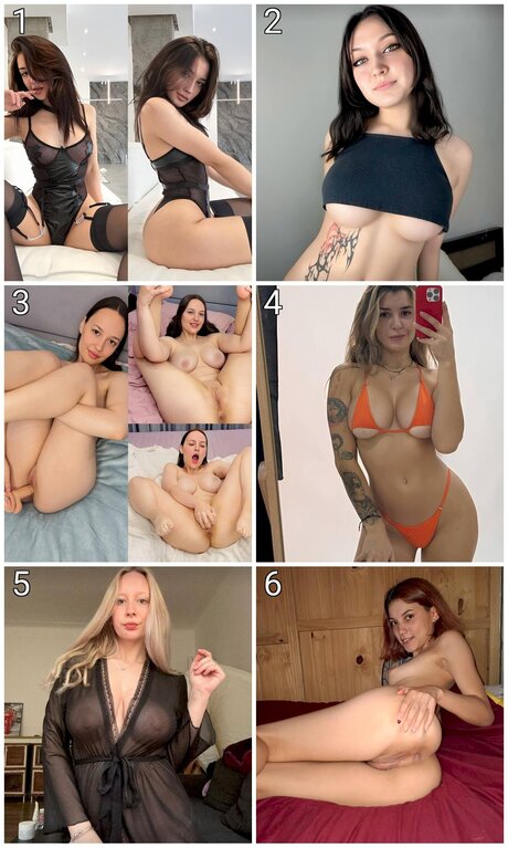 Aminaone high quality star gallery