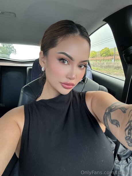 Travee star nice archive