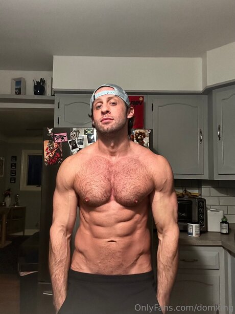 Domking best model img