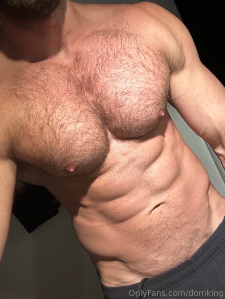 Domking model best images