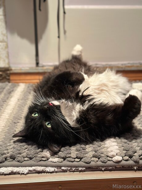 Miarosexxx high quality model photo