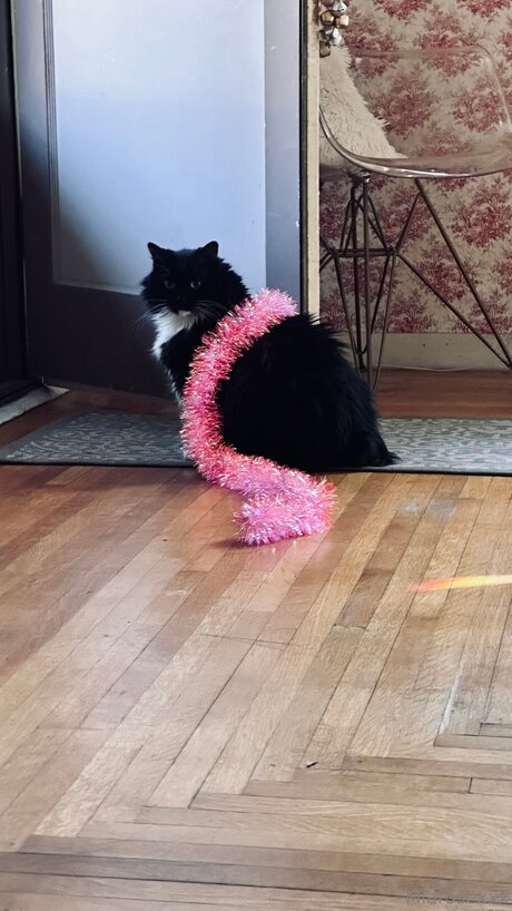 Miarosexxx pornstar art photos