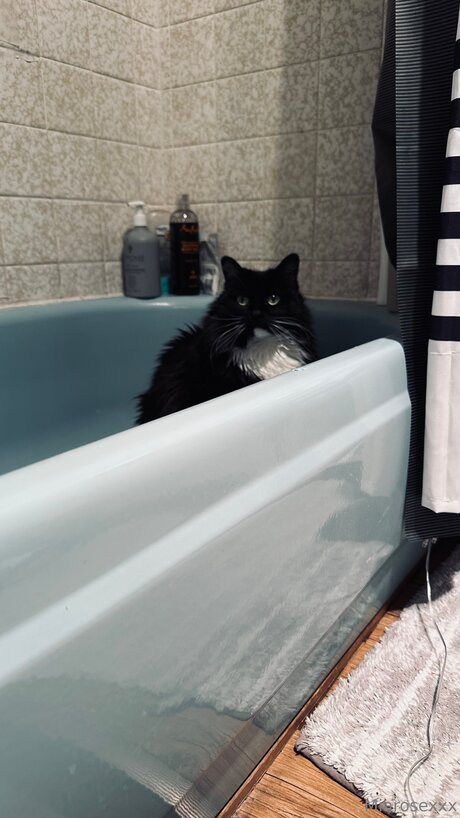 Miarosexxx model beautiful archive