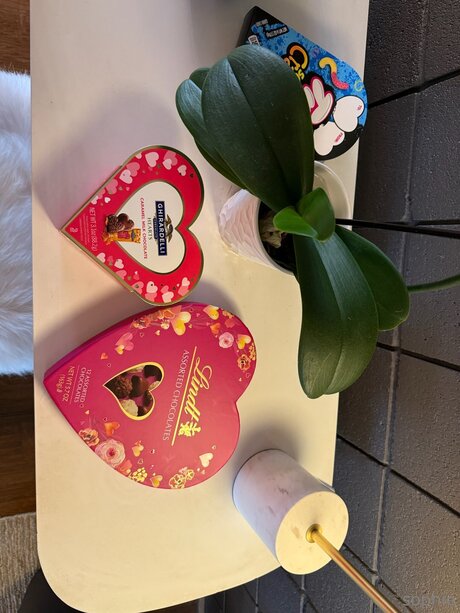 Sophiemudd model exclusive images