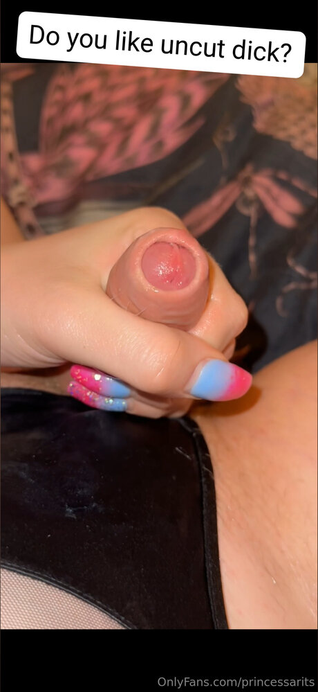 Princessarits pornstar nude img