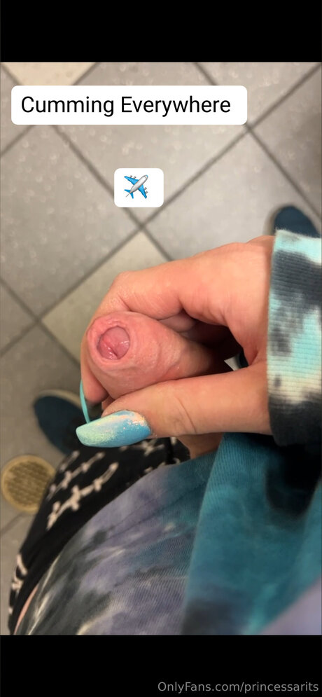 Princessarits pornstar naked image