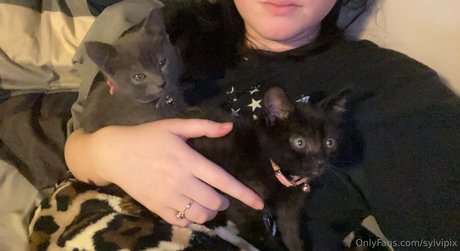 Sylvipix Young Goth Milf star top photo