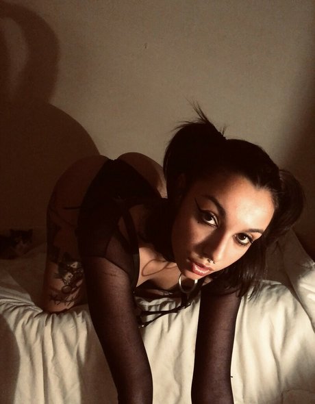 Pimenta star archive