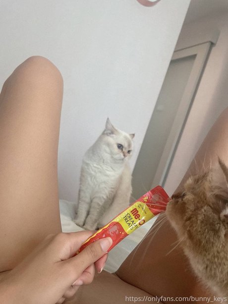 Bunny Keys_ nudes pornstar pictures