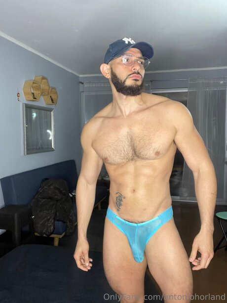 Antoniohorland art star image