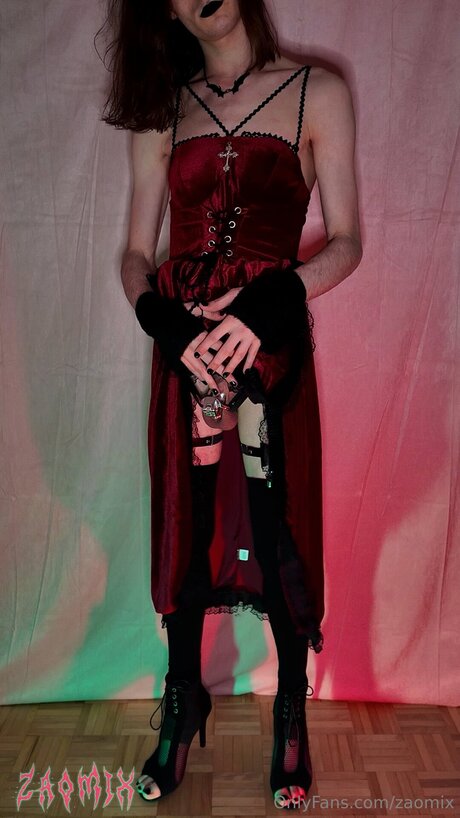 Zaomix art model pic