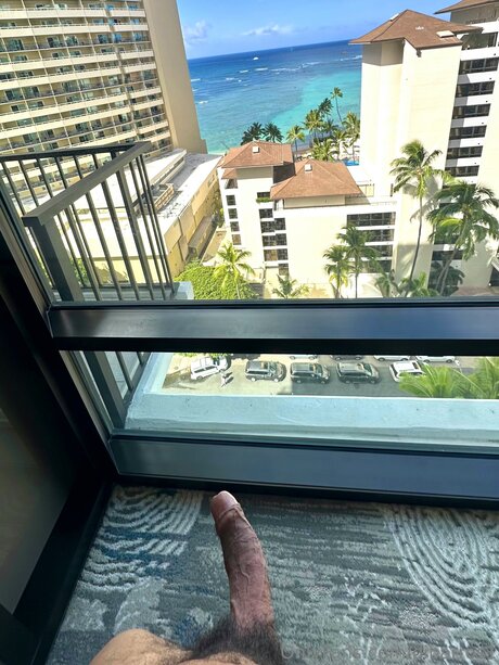 Dibarros1 beautiful star pictures