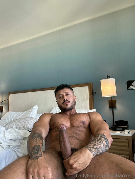 Dibarros1 pornographic star pics