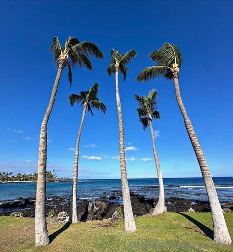 Dibarros1 xxx model archive