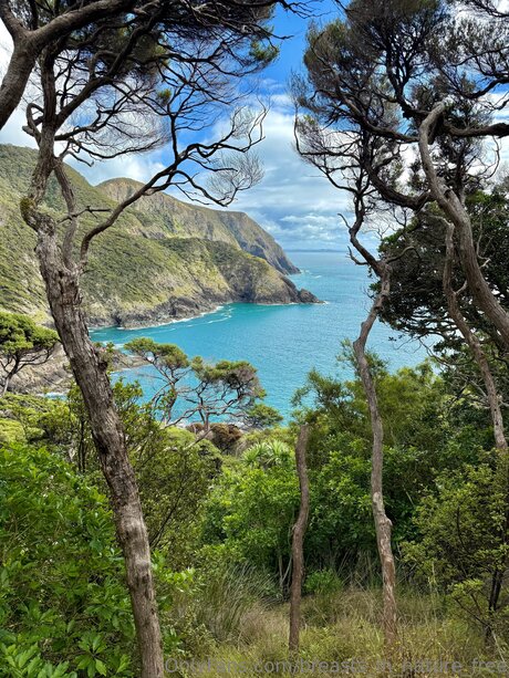 Breasts In Nature Free nudes model pic