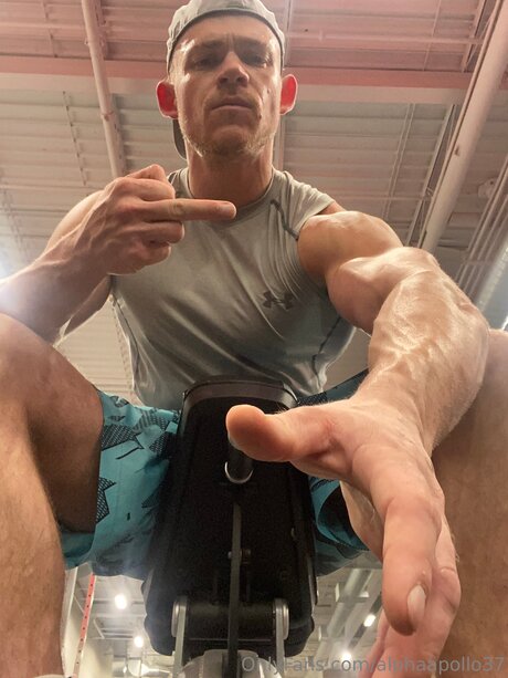 Alphaapollo37 star pornographic pic