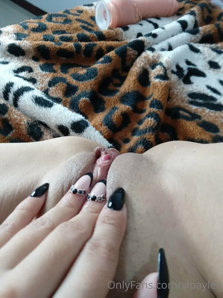 Aylenvip Photo Gallery