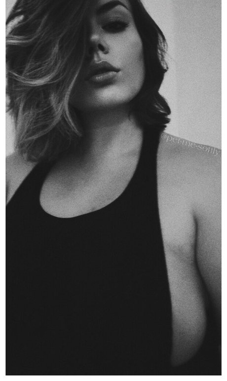 Pet Me Softly top star pics