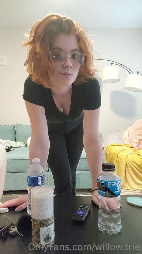 Willow Trie model art photos