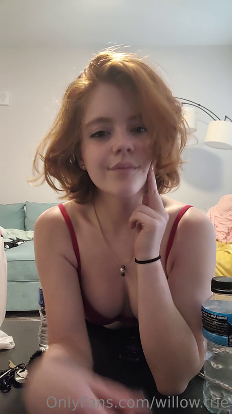 Willow Trie star hot images