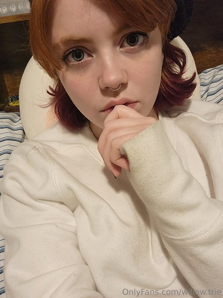 Willow Trie art star pictures