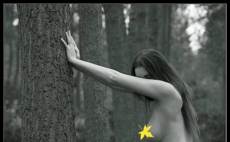 Zrenjanin star xxx image