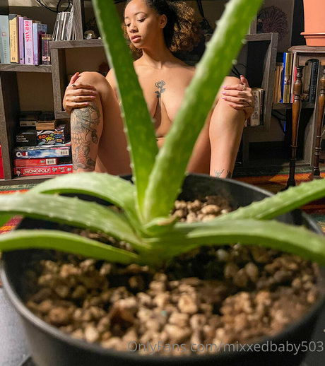 Mixxedbaby503 pornstar sexy img