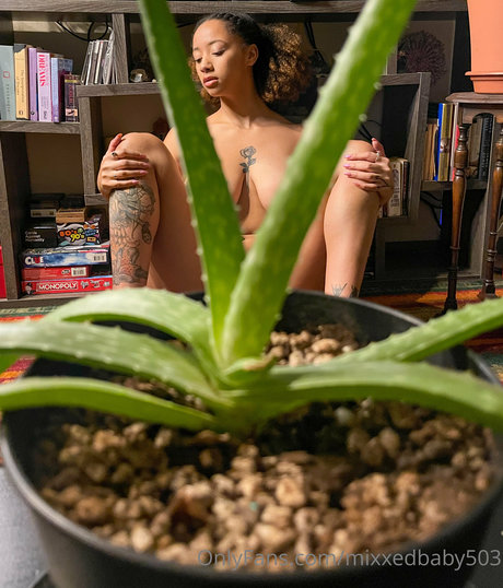 Mixxedbaby503 star exclusive archive