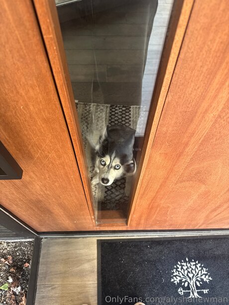 Alyshanewman model pretty galleries