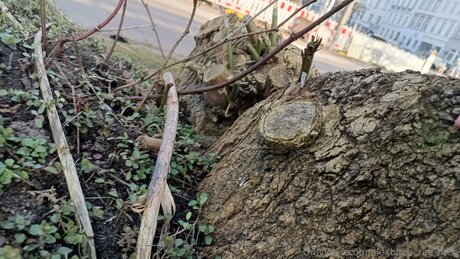 blowjob milf onlyfans hd pics