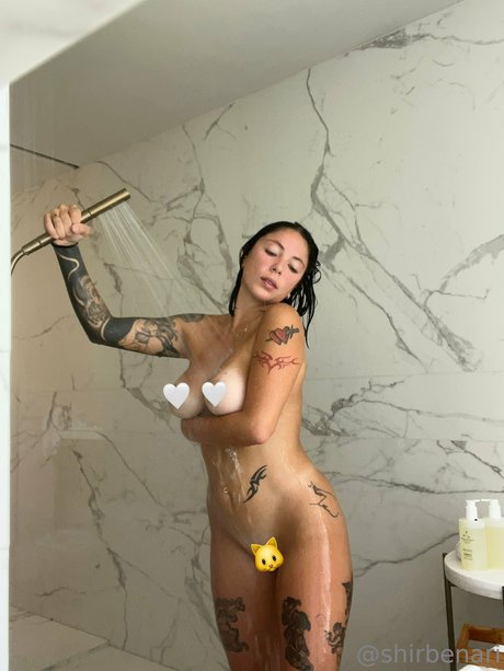 Shir Ben Ari free star picture