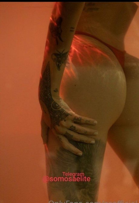 zoofficial star free photos