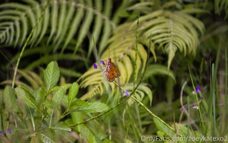 zoeykatexo2 high quality actress pictures