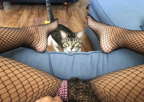 wife blowjob onlyfans porn images