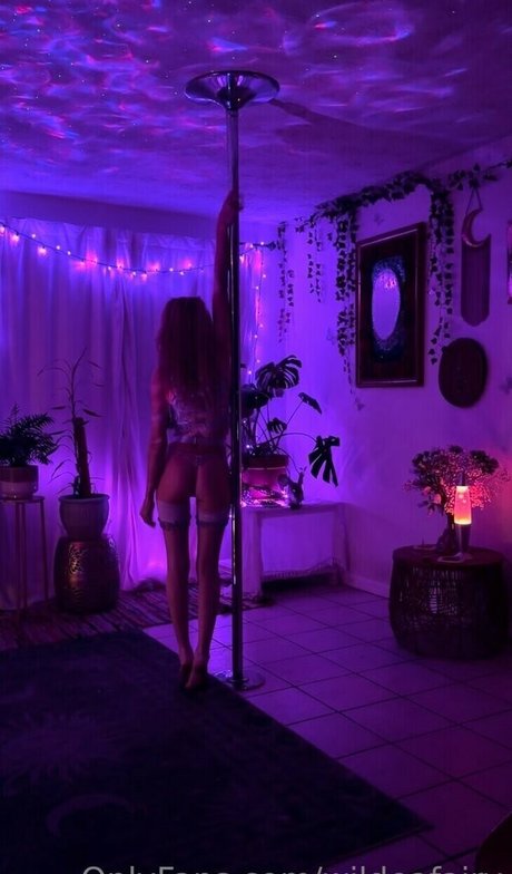 Emerald Wildea top star image