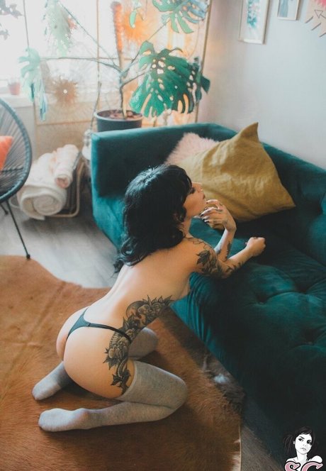 sgcanada free star pictures