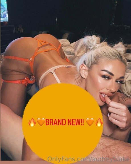 audreyblake Profile Photo