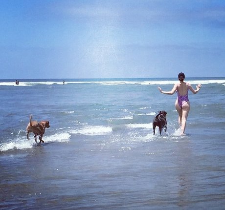 Whitney Cummings art pornstar images