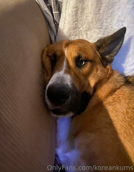 huge dick onlyfans free sex images