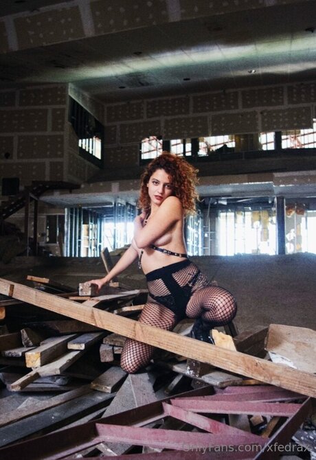 Xfedrax star perfect gallery