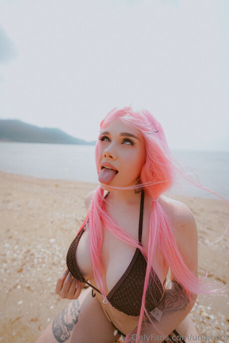 Unipcorn model art image