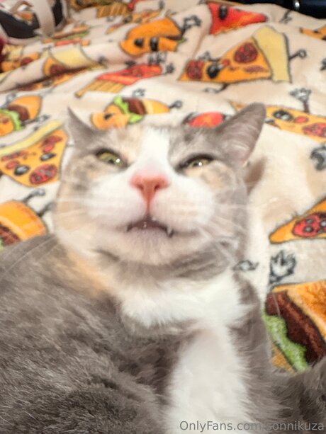 hairy pregnant onlyfans sexy nude images