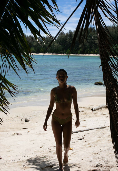 Lilychee pornstar top archive