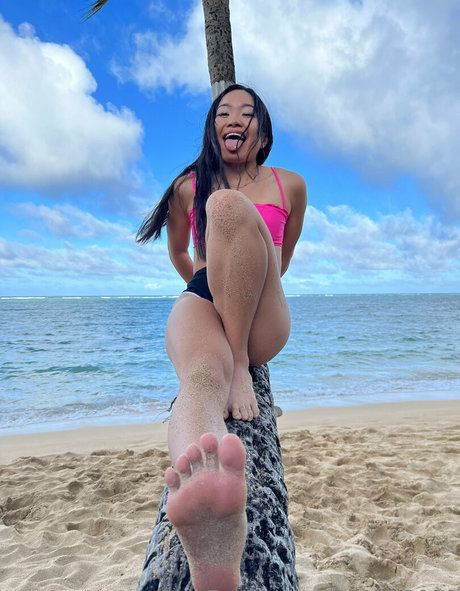 fittammy star free photo