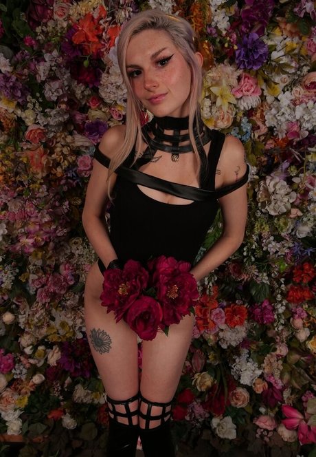 public onlyfans pornos pics