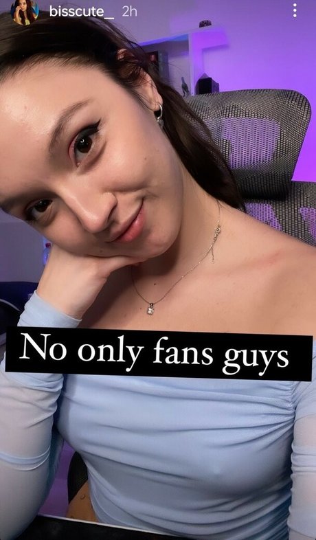 Bisscute star perfect galleries