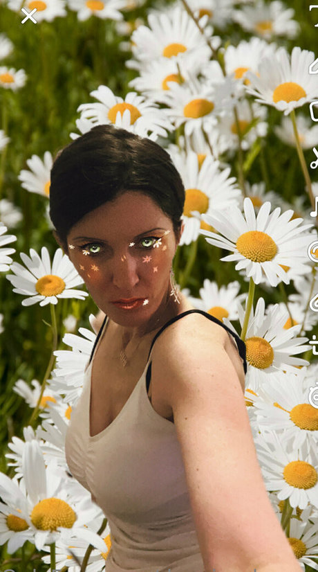 dancingdreamer best model img