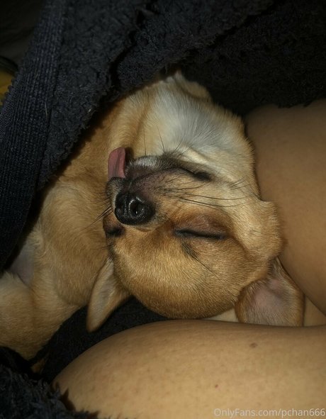 milf onlyfans pretty images